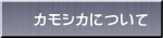 カモシカについて