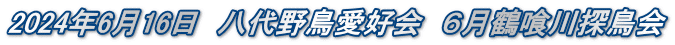 2024年6月16日　八代野鳥愛好会　６月鶴喰川探鳥会